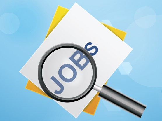 job-search-listing-karaikudiinfo